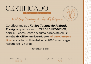 Arte Certificado Digital 29x21 4X0 PDF PDF 